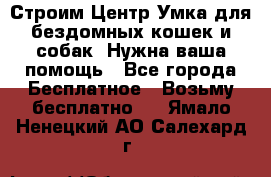 Строим Центр Умка для бездомных кошек и собак! Нужна ваша помощь - Все города Бесплатное » Возьму бесплатно   . Ямало-Ненецкий АО,Салехард г.